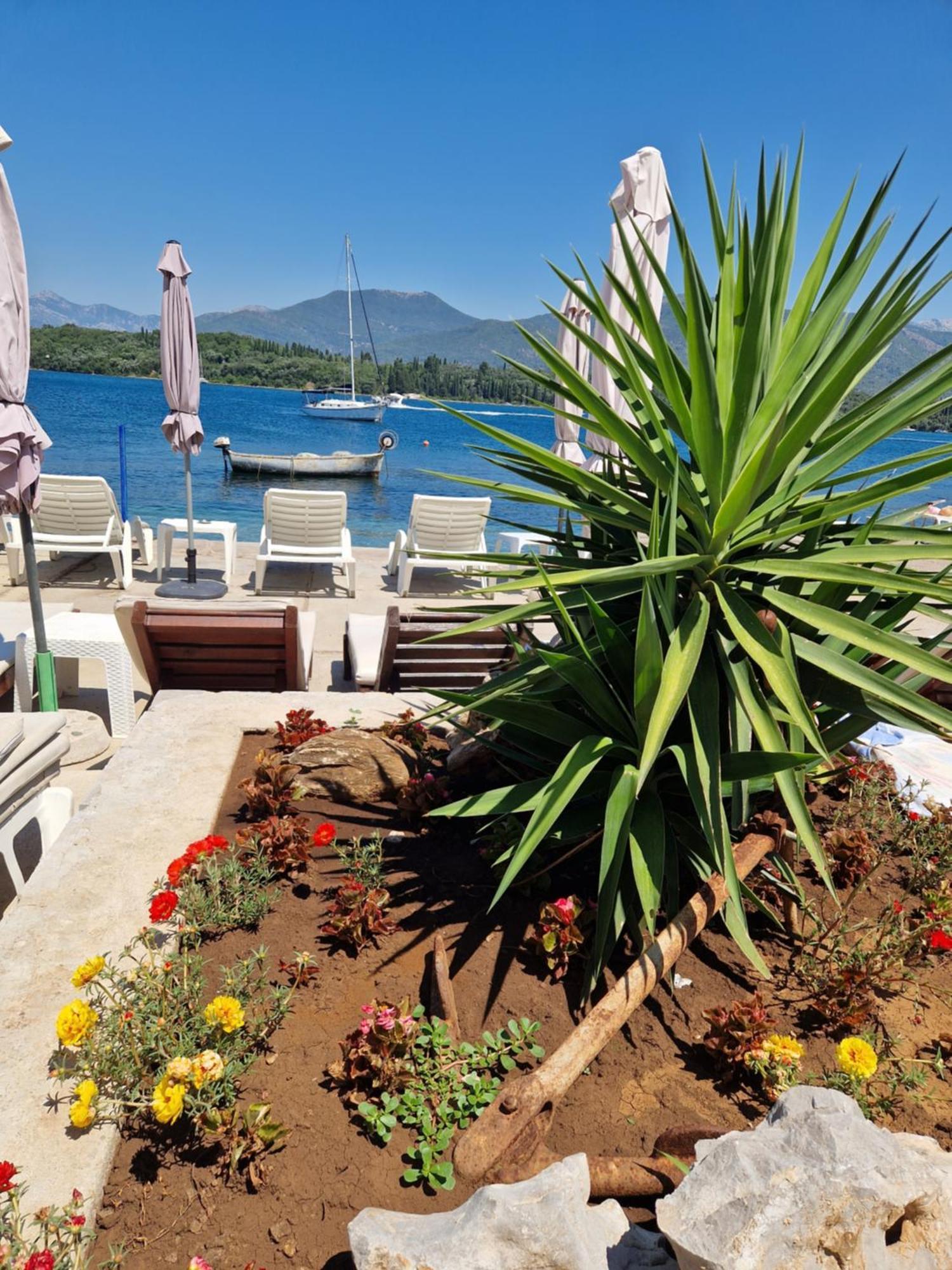 Franovic Apartments Tivat Exterior photo